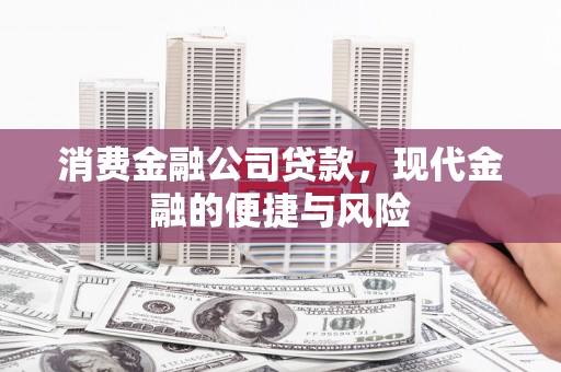 西丰消费金融公司贷款，现代金融的便捷与风险