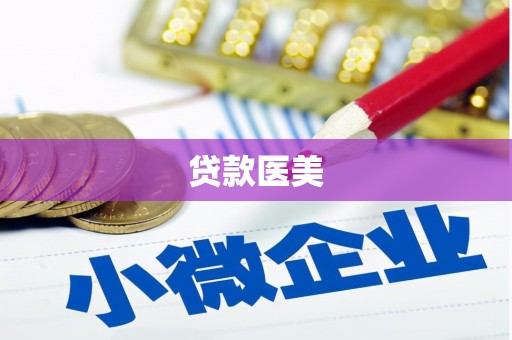 西丰贷款医美