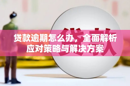 西丰贷款逾期怎么办，全面解析应对策略与解决方案
