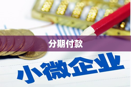 西丰分期付款