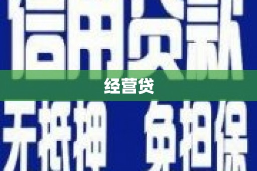 西丰经营贷