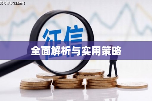 西丰全面解析与实用策略