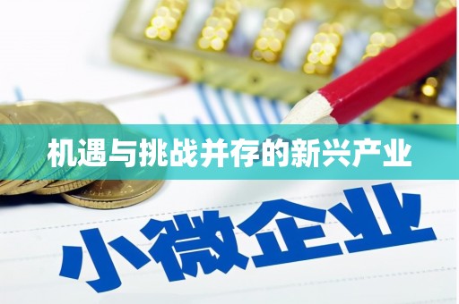 西丰机遇与挑战并存的新兴产业