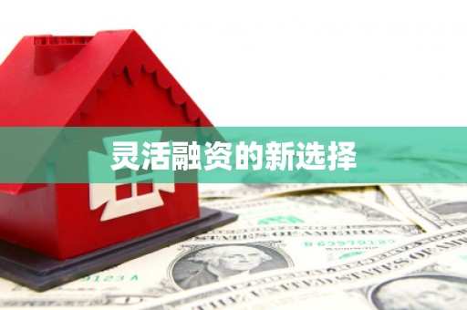 西丰灵活融资的新选择