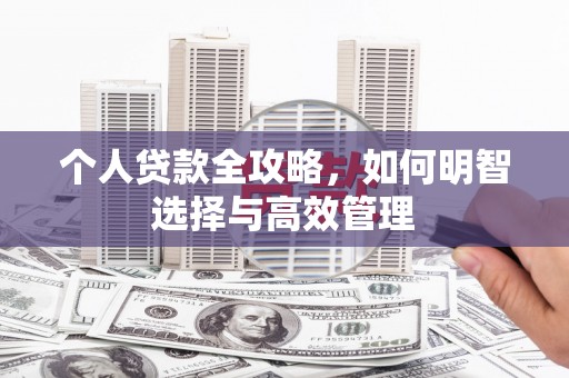 西丰个人贷款全攻略，如何明智选择与高效管理