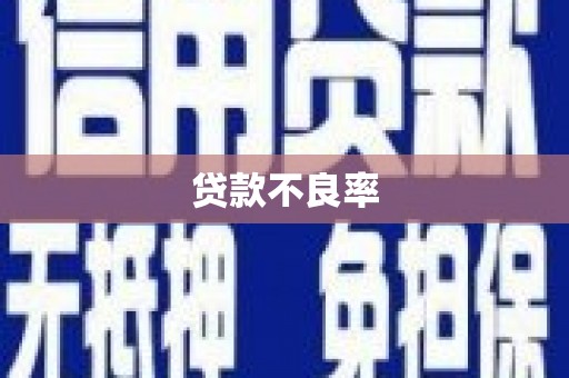 西丰贷款不良率