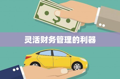 西丰灵活财务管理的利器