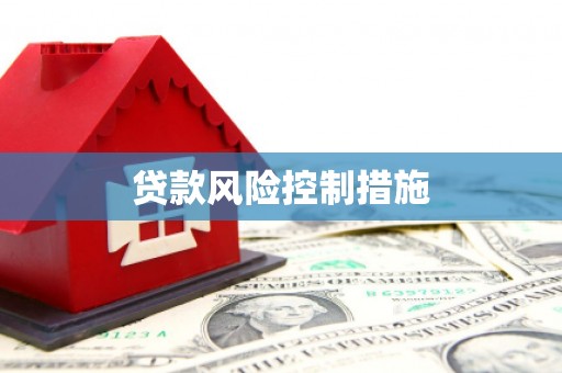 西丰贷款风险控制措施