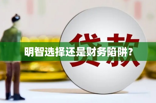 西丰明智选择还是财务陷阱？