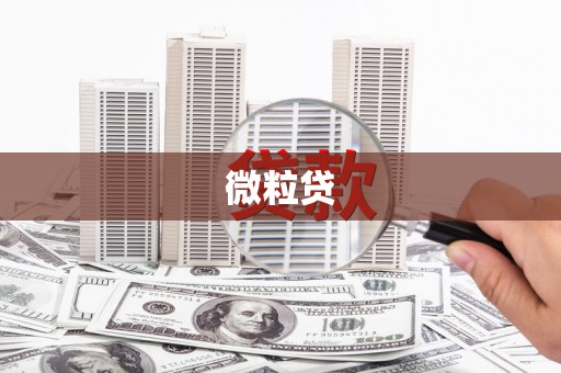 西丰微粒贷