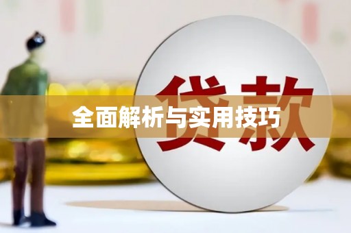 西丰全面解析与实用技巧