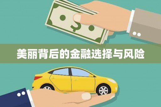 西丰美丽背后的金融选择与风险