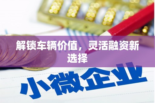 西丰解锁车辆价值，灵活融资新选择