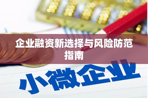 西丰企业融资新选择与风险防范指南