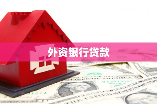 西丰外资银行贷款