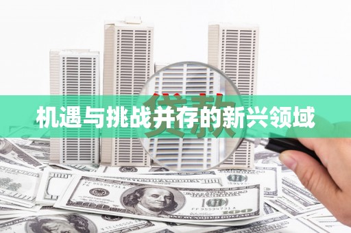 西丰机遇与挑战并存的新兴领域