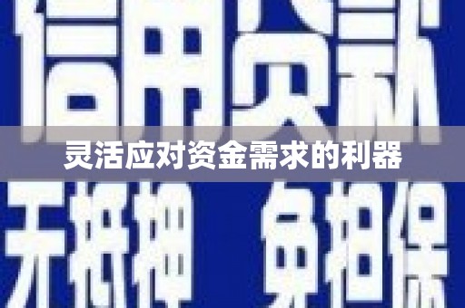 西丰灵活应对资金需求的利器