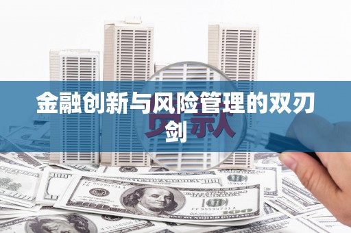 西丰金融创新与风险管理的双刃剑