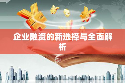 西丰企业融资的新选择与全面解析