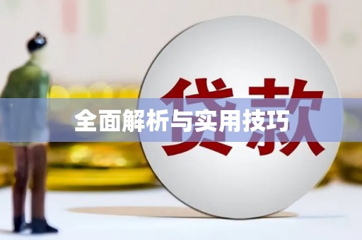 西丰全面解析与实用技巧