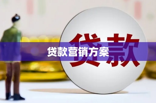 西丰贷款营销方案