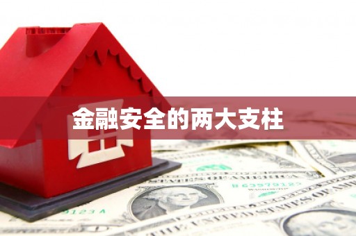 西丰金融安全的两大支柱