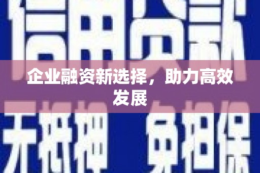 西丰企业融资新选择，助力高效发展