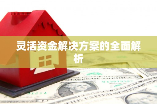 西丰灵活资金解决方案的全面解析