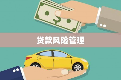 西丰贷款风险管理