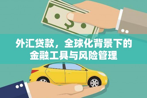 西丰外汇贷款，全球化背景下的金融工具与风险管理