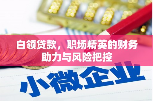 西丰白领贷款，职场精英的财务助力与风险把控