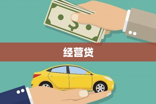 西丰经营贷