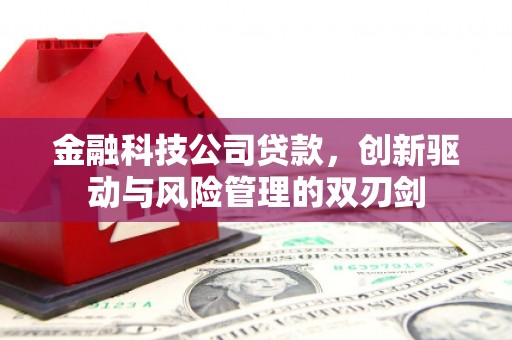 西丰金融科技公司贷款，创新驱动与风险管理的双刃剑
