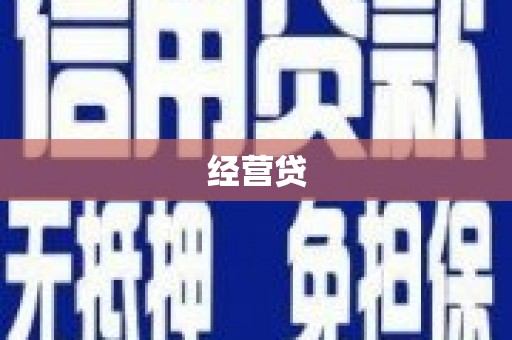 西丰经营贷